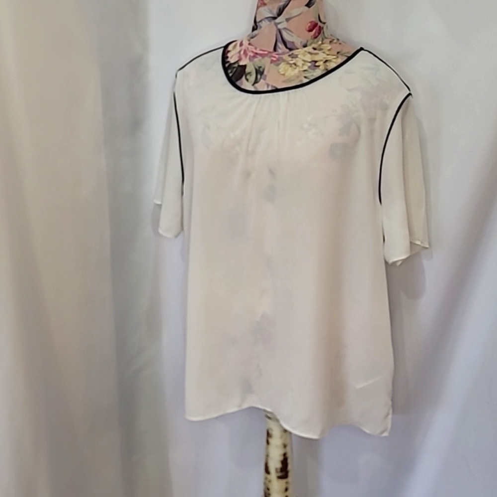 5/$30 BANANA REPUBLIC Office Colourblock Classic Trim Semi Sheer Blouse
